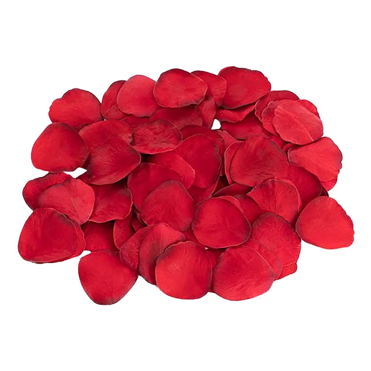 Erotic Game Dream Toys