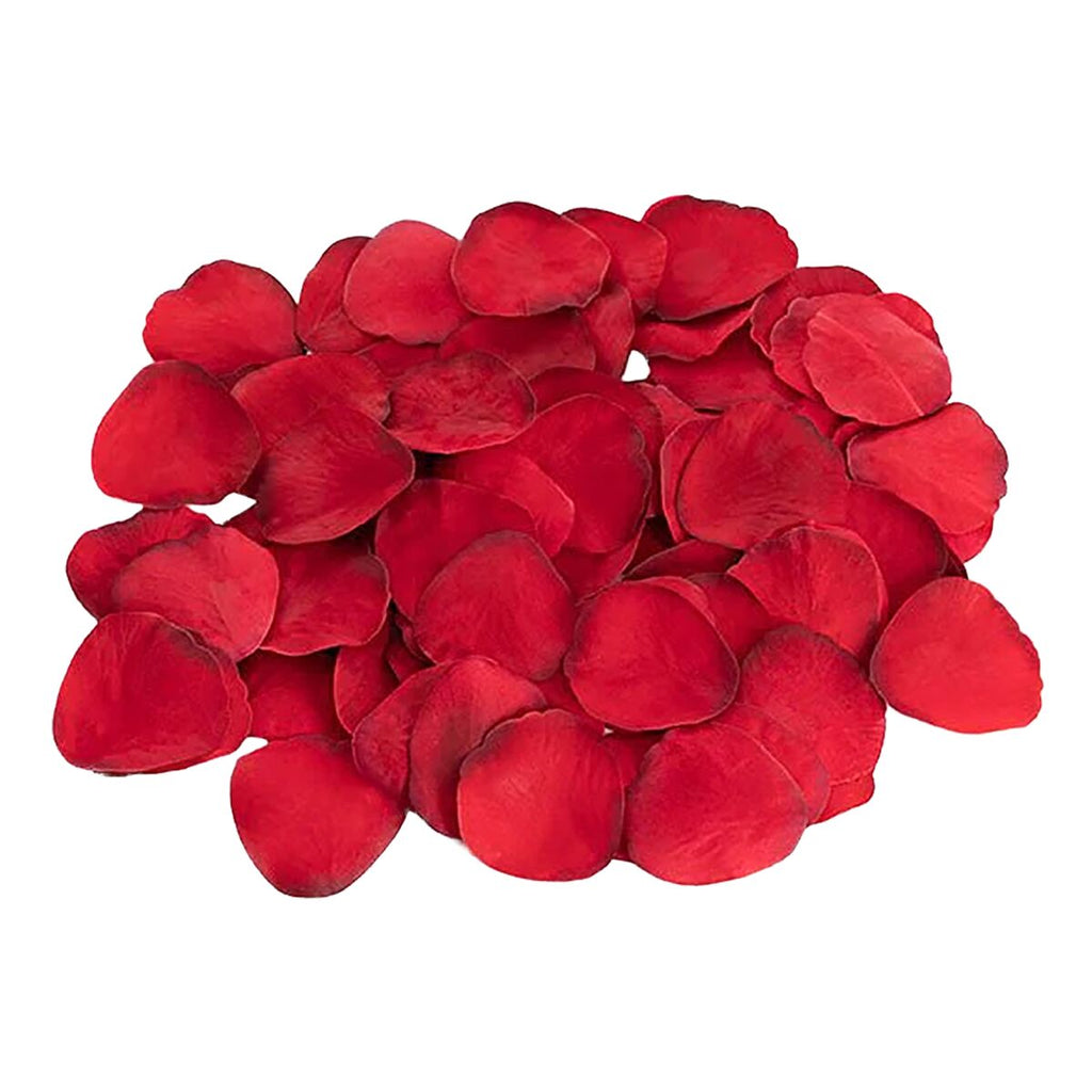 Erotic Game Dream Toys